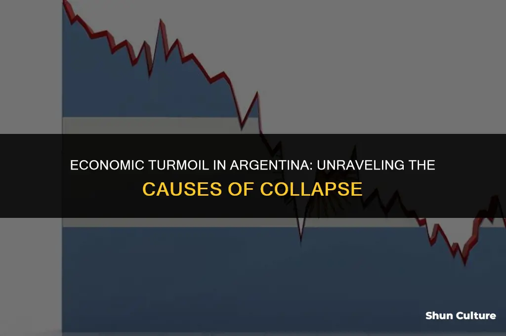 why argentina economy collapse