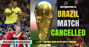 Argentina vs Brazil Match Cancelled: Reasons Behind the Shocking Decision