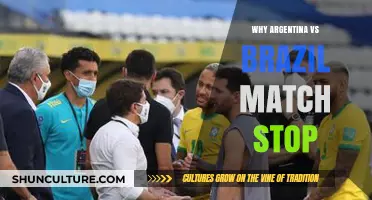 Argentina vs. Brazil Match Halted: Unraveling the Shocking Reasons Behind the Stoppage