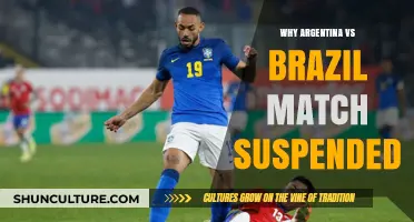 Argentina vs Brazil Match Suspended: Unraveling the Shocking CONMEBOL Decision