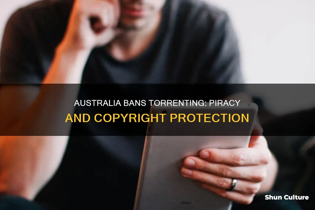 why australia ban torrent