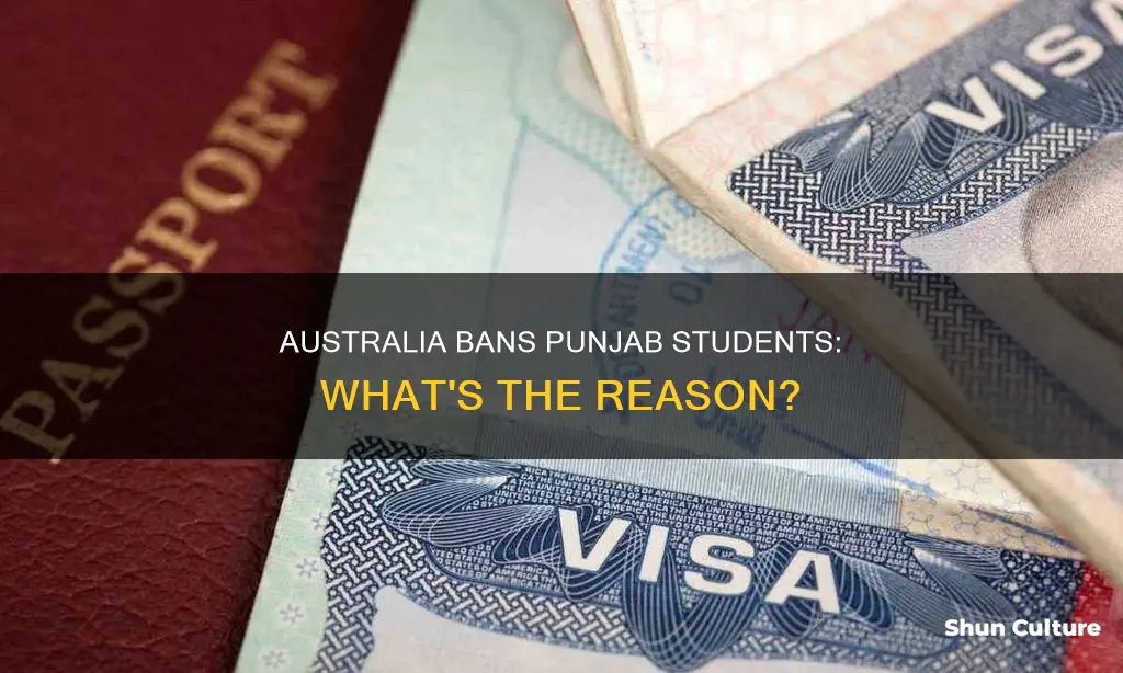 why australia banned punjab students