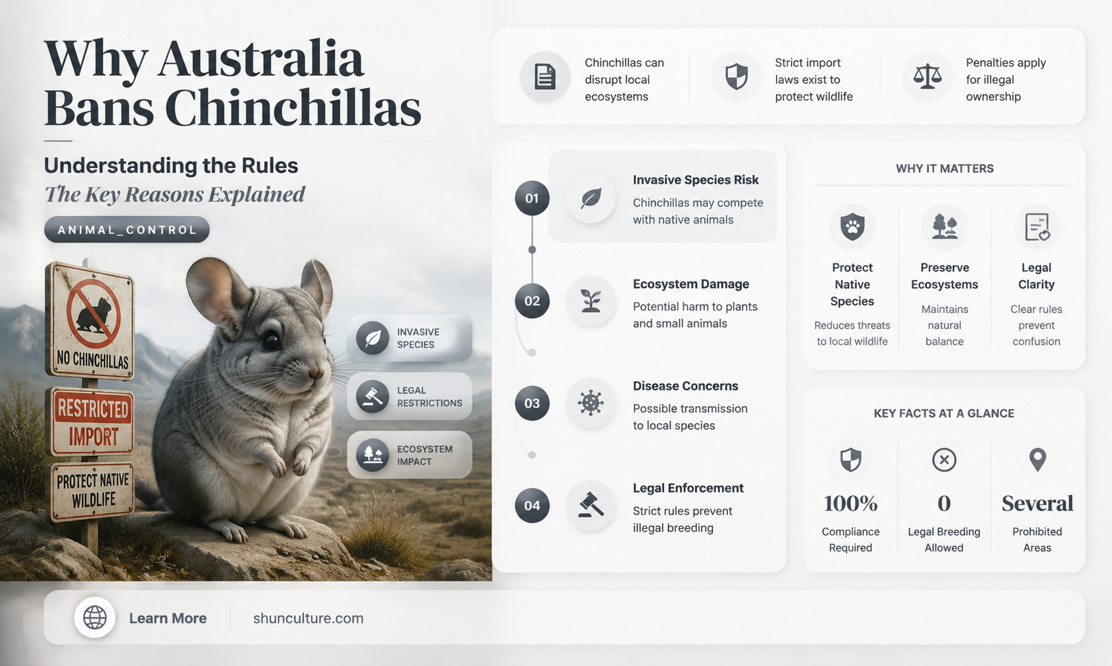 are chinchillas banned in australia