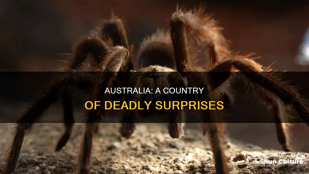 why australia is considered a dangerous country