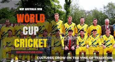 Australia's Cricket World Cup Win: What Made Them Champions?