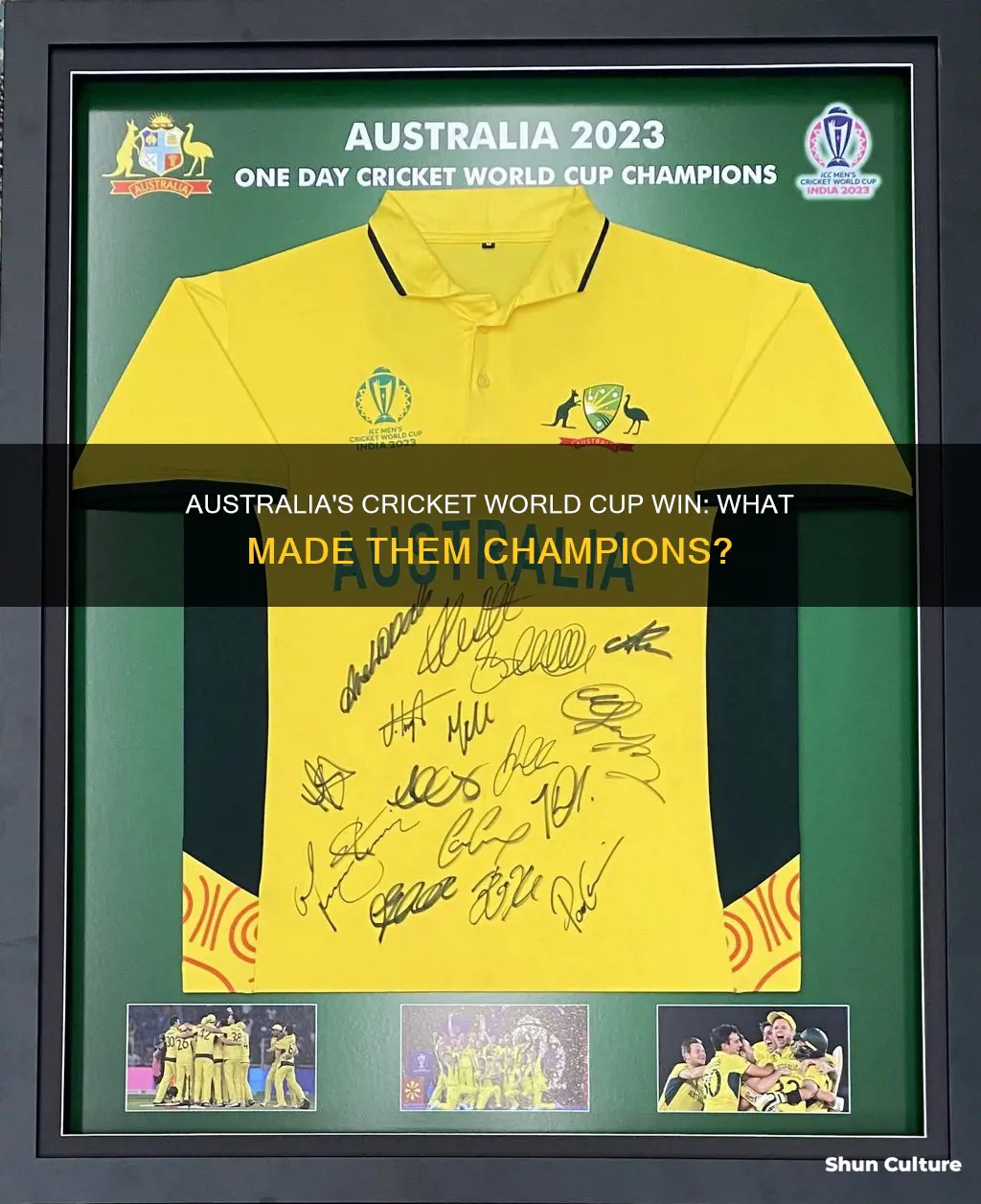 why australia won world cup cricket