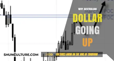 Australian Dollar Surges: Key Factors Driving AUD's Recent Rally