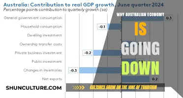 Australian Economy Decline: Causes, Impacts, and Future Outlook