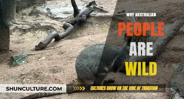 Wild Aussies: Exploring the Adventurous Australian Spirit