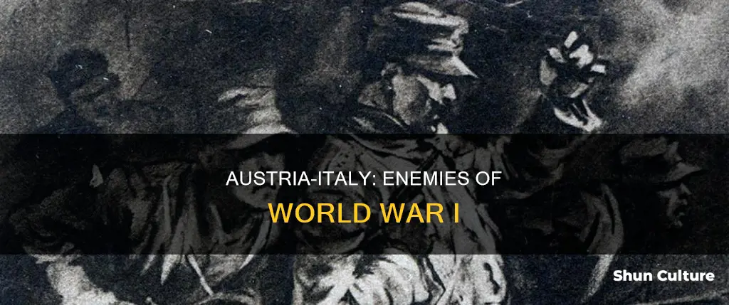 why austria and italy became enemies during may 24 1915