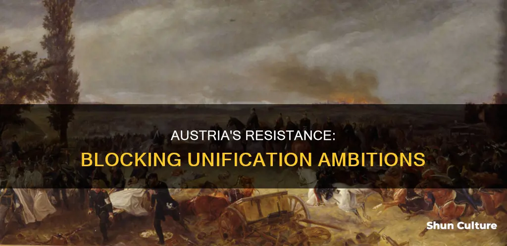 why austria didnt allow unification