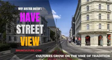 Austria's Streets: Privacy or Progress?