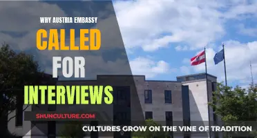 Austria Embassy Interviews: Unveiling the Mystery