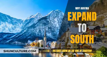 Austria's Southern Expansion: Strategic or Opportunistic?