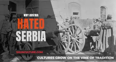 Austria-Serbia: Historical Hatred and its Origins