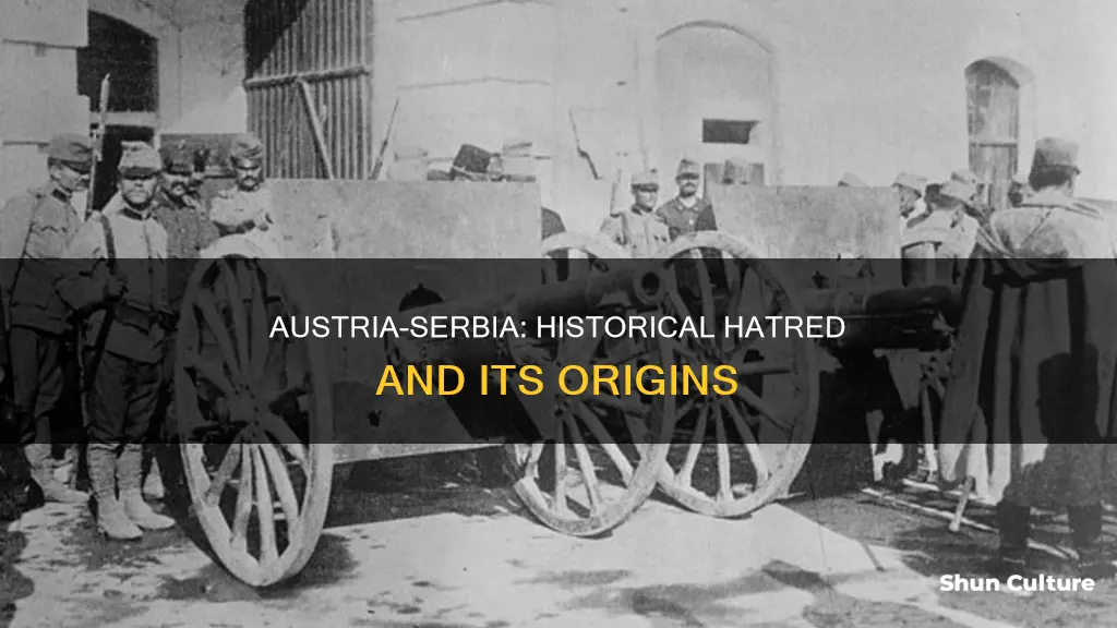 why austria hated serbia