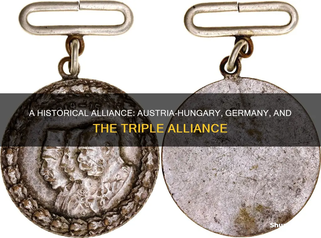 why austria-hungary and germany became members of the triple alliance