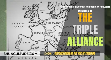 The Triple Alliance: Austria-Hungary and Germany's Strategic Alliance