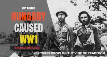 Austria-Hungary's Role in World War I: A Complex Legacy