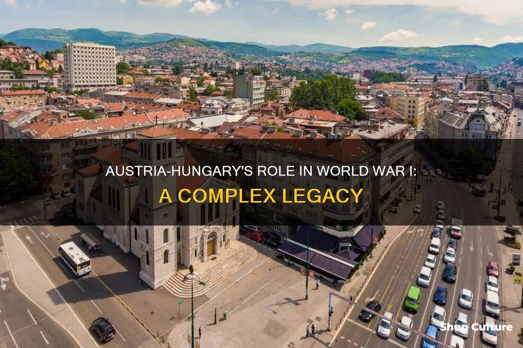 why austria hungary caused ww1
