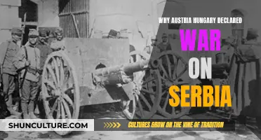 Austria-Hungary's War Declaration on Serbia: Why?