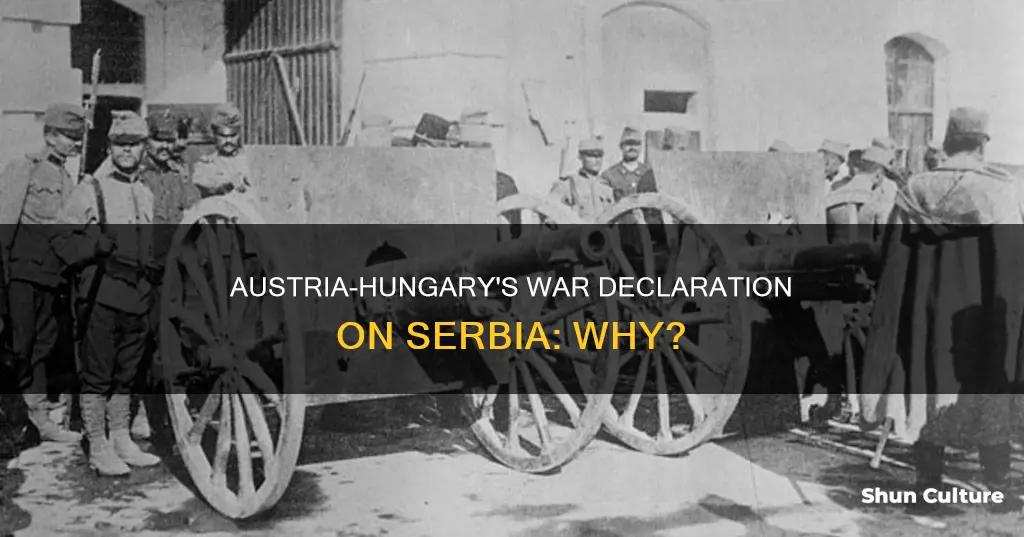 why austria hungary declared war on serbia