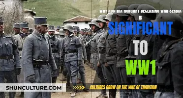 Austria-Hungary's Fateful Declaration: Sparking WW1