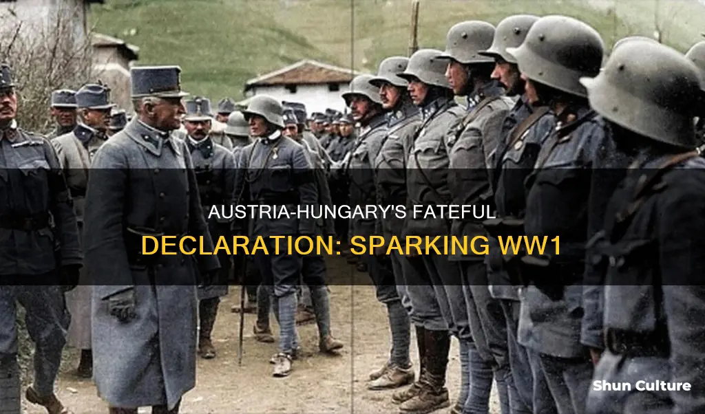 why austria hungary declaring war serbia is significant to ww1