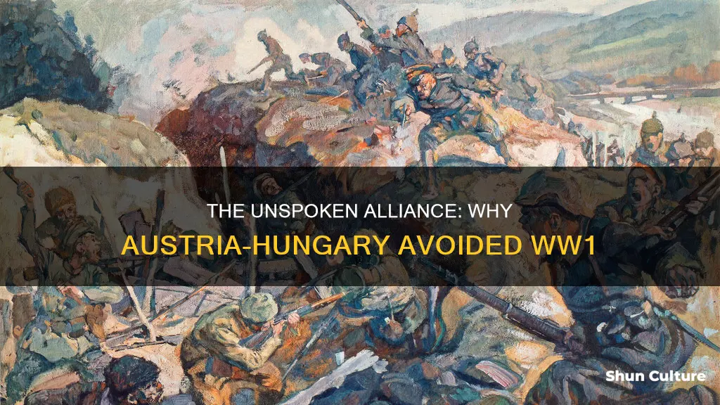 why austria hungary did not start ww1