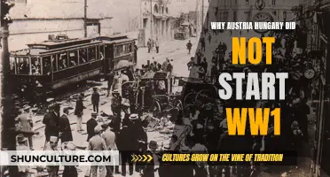 Austria-Hungary's Role in WWI: Who Started It?