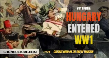 Austria-Hungary's Entry into World War I: Complex Alliance System
