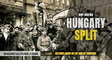 The Complex Breakup of Austria-Hungary: Understanding the Past