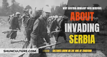 Austria-Hungary's Nervous Invasion: Serbia's Threat