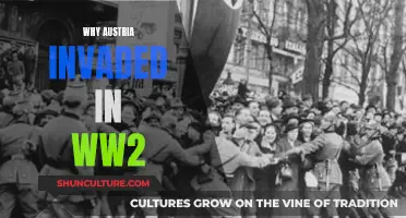 Austria's Invasion: Why Did It Happen?