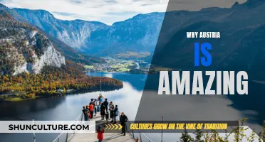 Austria's Alpine Charm: A Country of Wonder