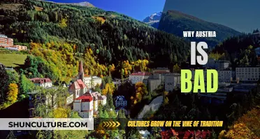 Austria: A Country of Unfortunate Events and Misery