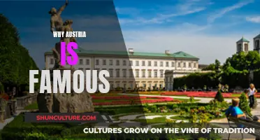 Austria's Renowned Alps, Music, and Coffee Culture
