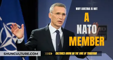 Austria's NATO Non-Membership: A Strategic Choice?