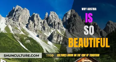 Austria's Beauty: Nature, Architecture, and More