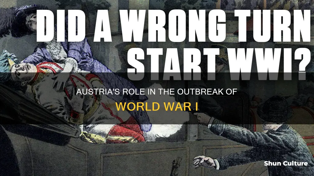 why austria is to blame for ww1