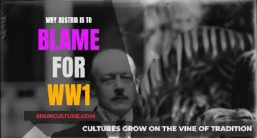 Austria's Aggression: The Spark of World War I