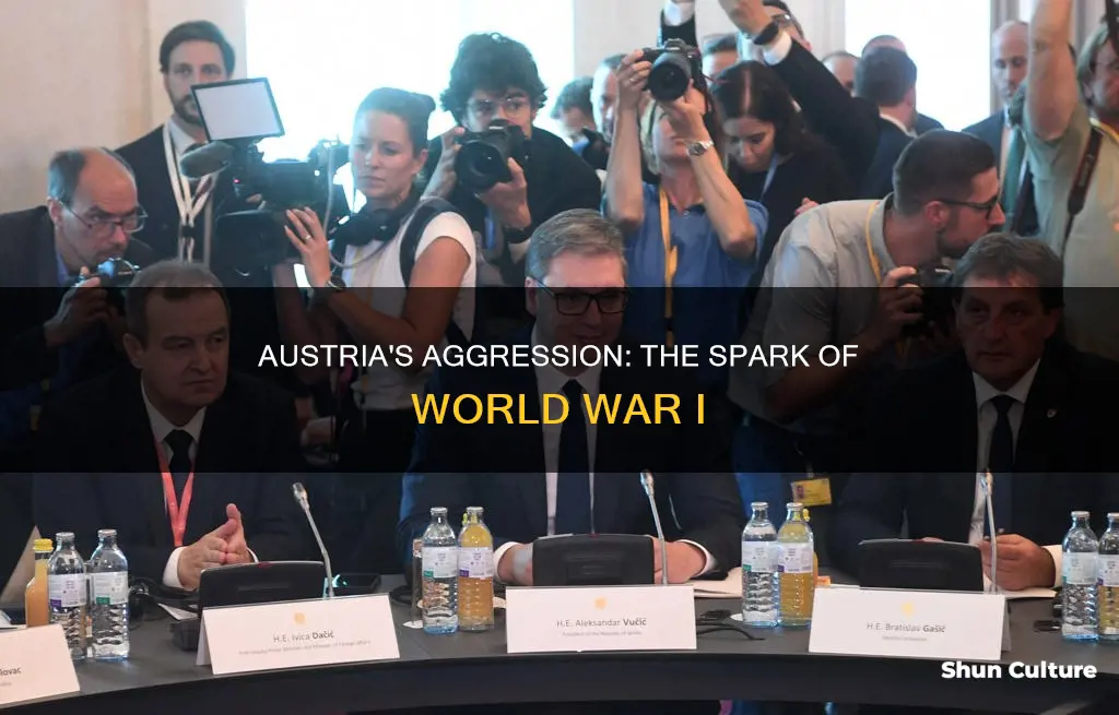 why austria is to blame for ww1