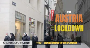 Austria's Lockdown: A Precautionary Tale