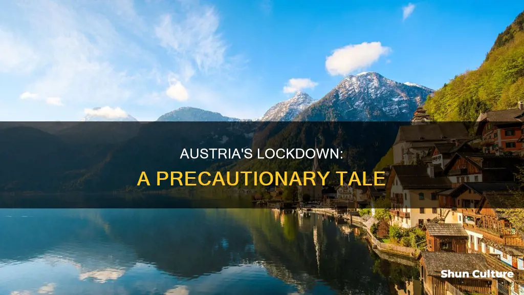 why austria lockdown