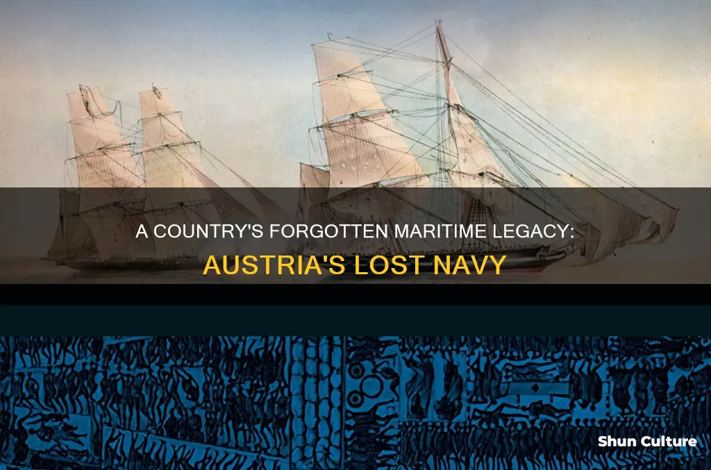 why austria lost its navy