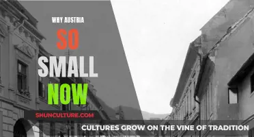 Austria's Shrinking Territory: A Historical Perspective