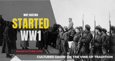 Austria's Role in World War I: A Complex History