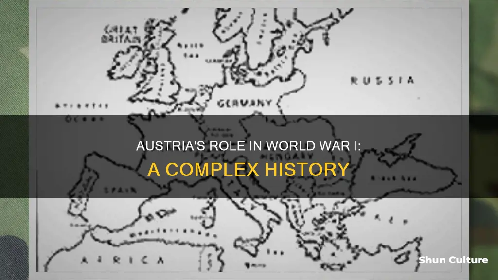 why austria started ww1
