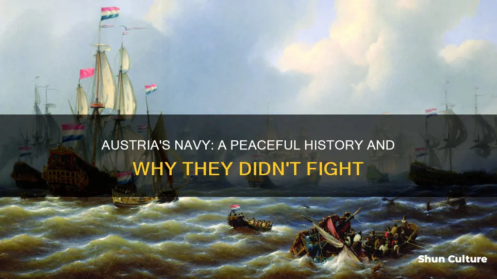 why austrian navy did not fight