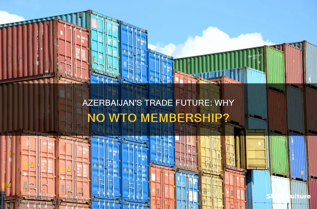 why azerbaijan is not member of wto